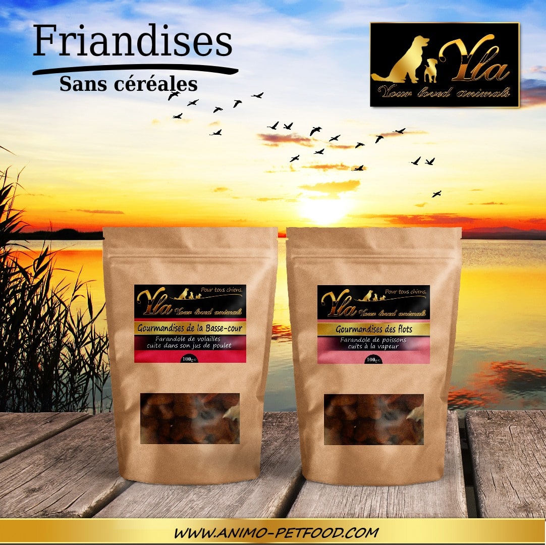 friandises-sans-cereales-pour-chiens